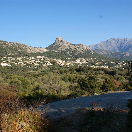 Villa Belle Location Sur Lumio Avec Vue Remarquable Et Jardin Exterior foto