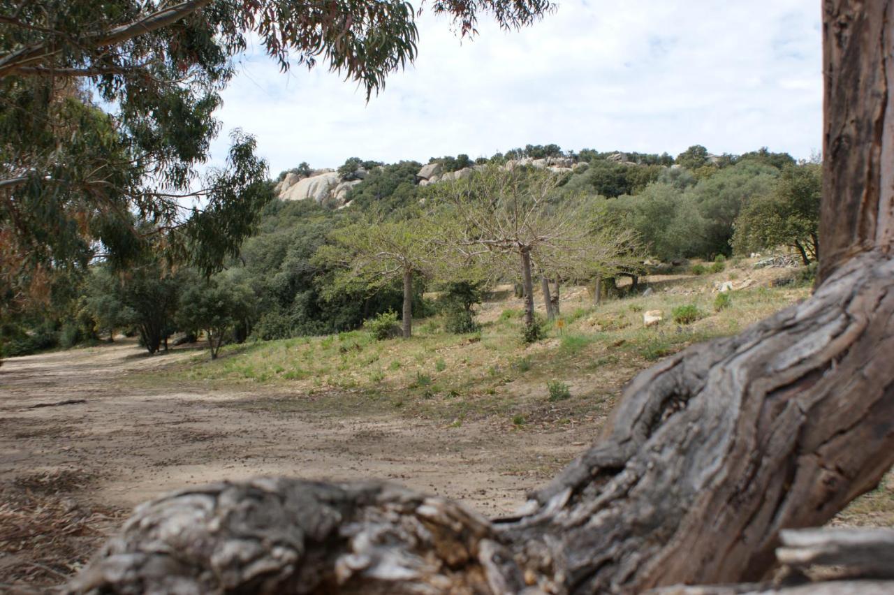 Villa Belle Location Sur Lumio Avec Vue Remarquable Et Jardin Exterior foto